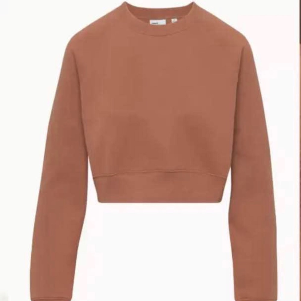 Aritzia camel crewneck